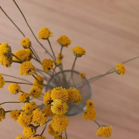 And Charming - Guggenheim&old Town