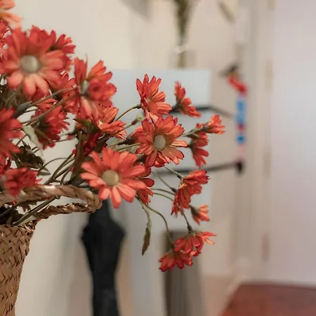 And Charming - Guggenheim & Old Town 公寓 毕尔巴鄂